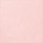 TATEMADO SPICY FUSILLI